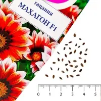 Семена цветов Гацания &laquo;Махагон&raquo;, F1, для балкона, веранды, цветника, однолетник, низкорослая0.04 г