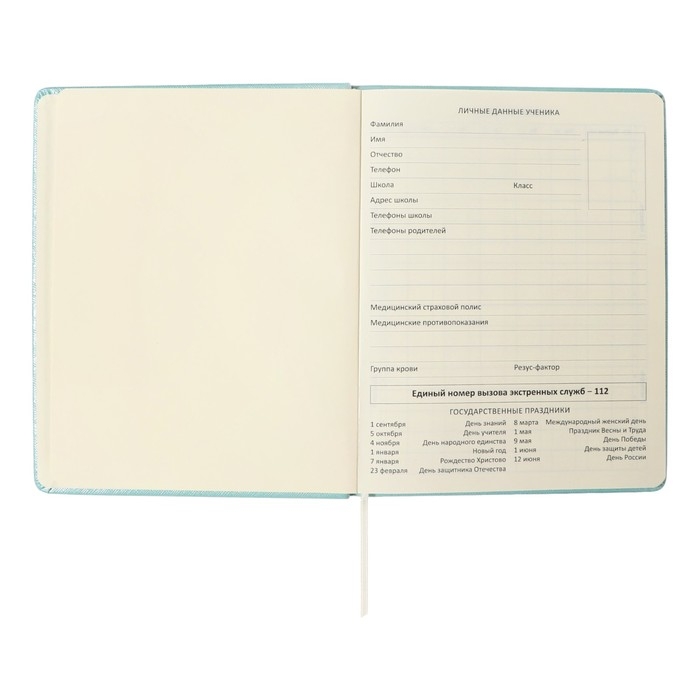 Дневник универсальный для 1-11 класса Leaf, твёрдая обложка, искусственная кожа, с поролоном, тиснение фольгой, ляссе, 80 г/м2