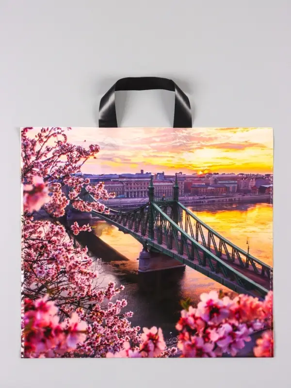 Пакет &laquo;Дунай&raquo;, полиэтиленовый с петлевой ручкой, 38&times;34 + 3 см, 70 мкм