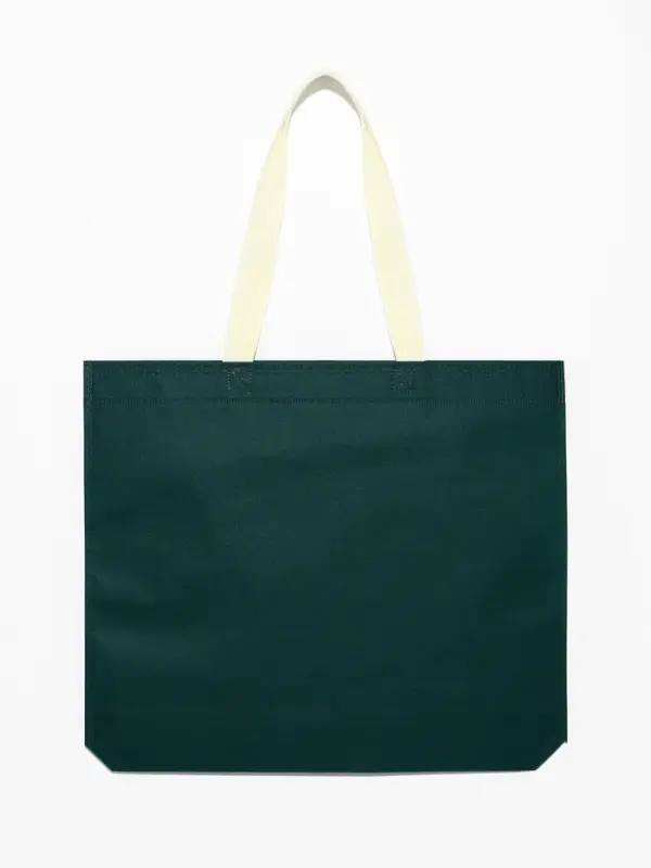 Пакет с петлевой ручкой, сумка - шопер «Эко», 38×32×10 см, изумрудный Пакет с петлевой ручкой, сумка - шопер «Эко», 38×32×10 см, изумрудный