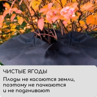 Круг приствольный, d = 0,8 м, плотность 60 г/м², спанбонд с УФ-стабилизатором, набор 5 шт., чёрный, Greengo, Эконом 20%