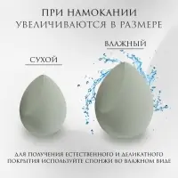 Спонжи для макияжа, набор - 4 шт, увеличиваются при намокании, цвет зелёный Спонжи для макияжа, набор - 4 шт, увеличиваются при намокании, цвет зелёный