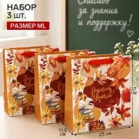 Пакеты подарочные &laquo;Дорогому учителю&raquo;, набор 3 шт., ML 27&times;23&times;11.5 см