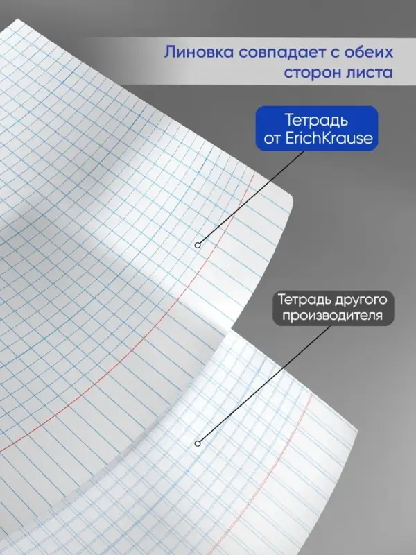 Тетрадь 48 листов в клетку, ErichKrause Duotone Next, обложка мелованный картон, МИКС