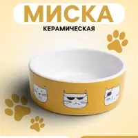 Миска &laquo;Опасные коты&raquo;, 230 мл, 12.5&times;4.5 cм, керамика, белая, оранжевая