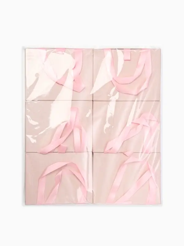 Набор коробочек подарочных 6 шт. под набор &laquo;Премиум&raquo;, 16&times;12, цвет розовый (9911215)