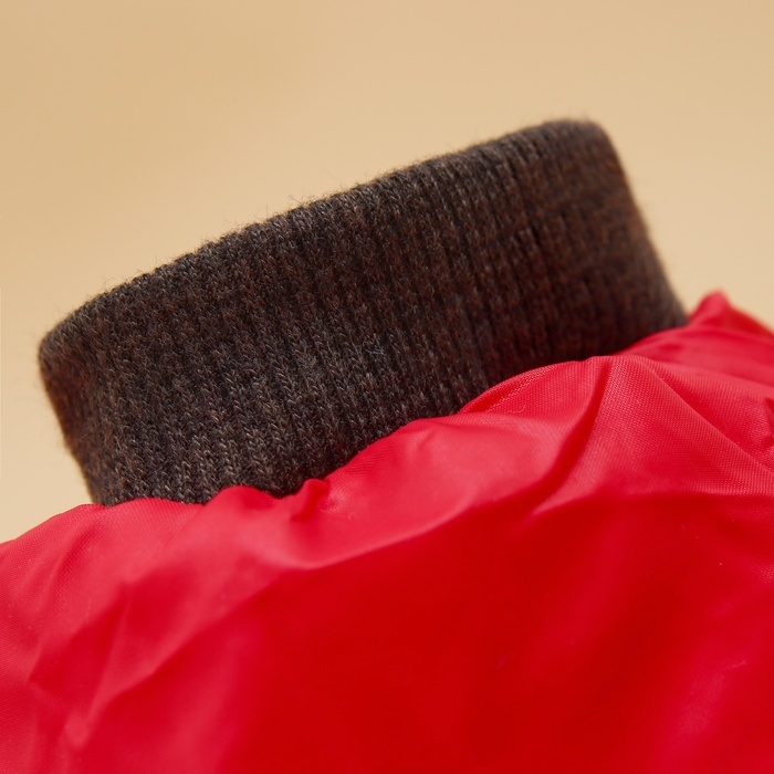 Комбинезон для собак со шлейкой Комбинезон для собак со шлейкой "Моден", размер 14 (ДС 32, ОГ 42, ОШ 31 см), красный