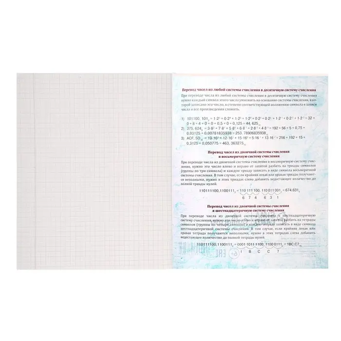 Тетрадь предметная 36 листов в клетку Calligrata &laquo;Животные мемы. Информатика&raquo;, обложка мелованная бумага, серые листы