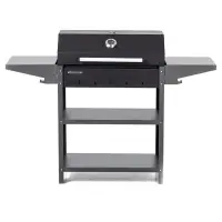 Мангал Family Standart BBQ FSB2000, 133.2&times;44.1&times;96.6 см, 2 мм, крышка, боковые полки