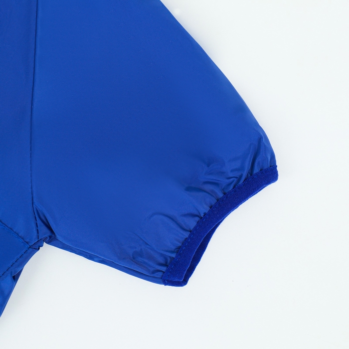 Комбинезон для собак, демисезонный с подкладом, размер ХS (ДС 22, Ог 34 см), синий Комбинезон для собак, демисезонный с подкладом, размер ХS (ДС 22, Ог 34 см), синий