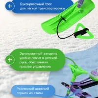 Снегокат &laquo;Тимка спорт 2&raquo; Кошечки-собачки, ТС2/К-С1 Nika