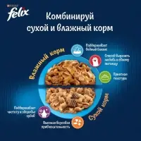 Влажный корм Felix Природа вкуса для кошек, лосось, 75 г