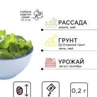 Семена Базилик овощной &laquo;Ереванский&raquo;, пряность, 0.2 г, &laquo;Аэлита&raquo;