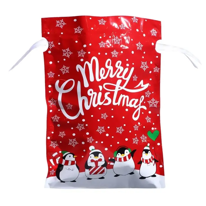 Пакет подарочный с завязками, «Пингвины», 24×32 см Пакет подарочный с завязками, «Пингвины», 24×32 см