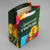Пакет подарочный ламинированный, упаковка, «Лучшему Учителю», MS 18 х 23 х 10 см