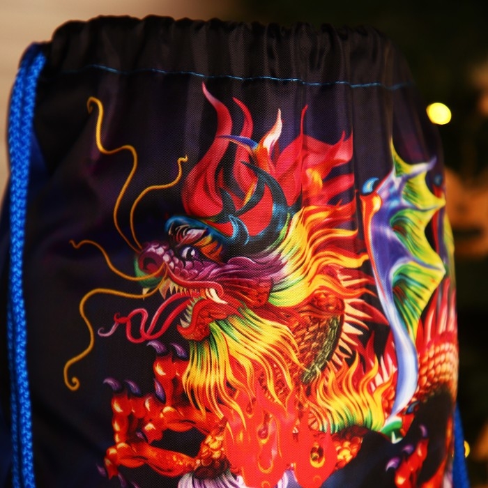 Мешок на шнурке, цвет синий/разноцветный Мешок на шнурке, цвет синий/разноцветный