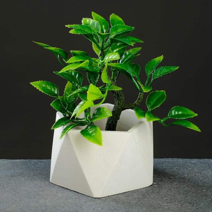 Кашпо Пятиугольник 9 х 6 см белое Кашпо Пятиугольник 9 х 6 см белое