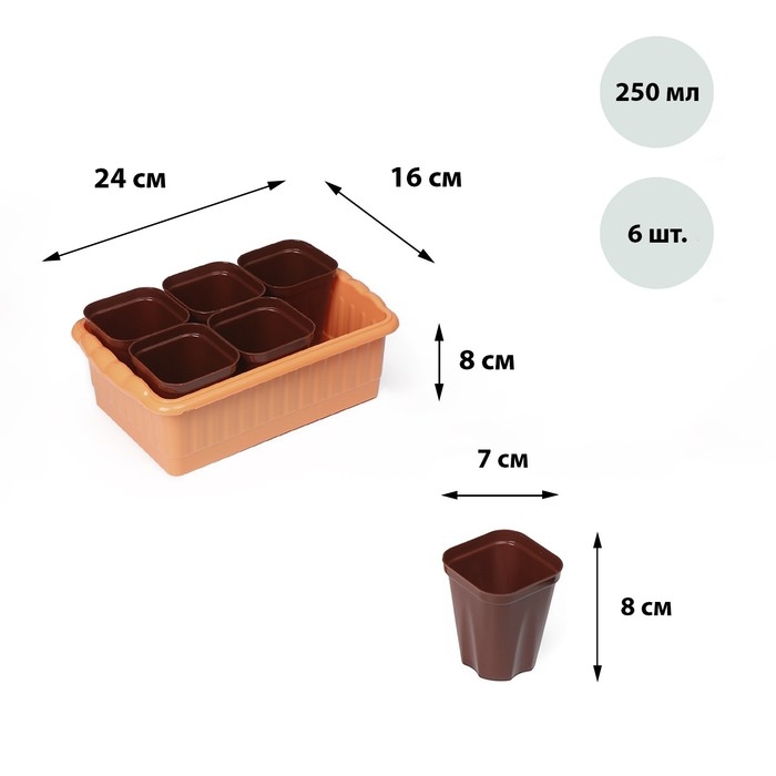 Набор для рассады: стаканы по 250 мл (6 шт.), контейнер 24 × 16 см, МИКС Набор для рассады: стаканы по 250 мл (6 шт.), контейнер 24 × 16 см, МИКС