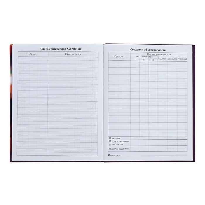 Дневник универсальный для 1-11 классов Дневник универсальный для 1-11 классов "Стильная девочка", твёрдая обложка, матовая ламинация, выборочный лак, 40 листов