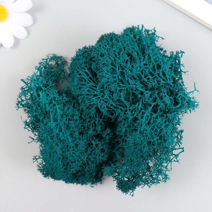 Мох стабилизированный Мох стабилизированный "Морская волна" МИКС 45 гр (+-5 гр)