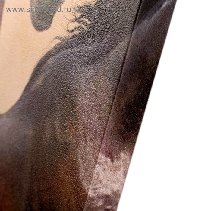 Картина модульная на подрамнике  Картина модульная на подрамнике "Скакуны" (2-25х50, 30х60 см) 80х60 см