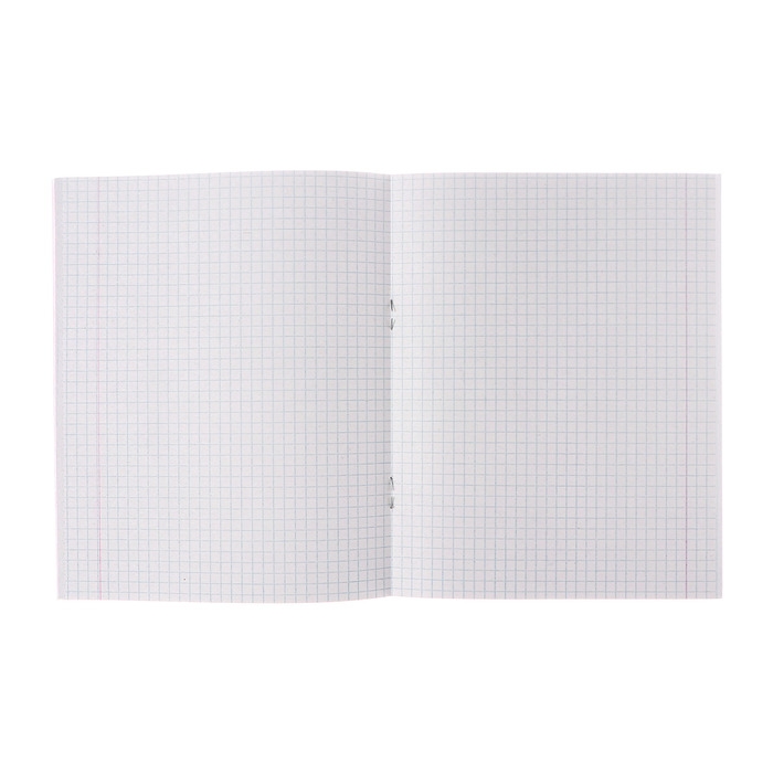 Комплект тетрадей из 5 штук (4 разные + 1 повторяющаяся), 48 листов в клетку Calligrata "Racing defender", обложка мелованная бумага, блок №2, белизна 75% (серые листы)