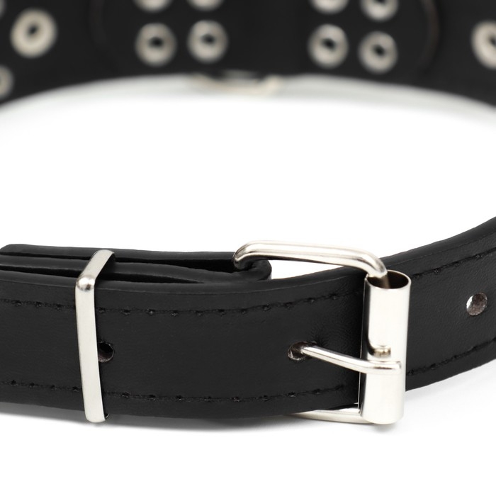Ошейник  Ошейник "Сириус", кожзам с заклёпками, 56 х 3 см, ОШ 42-52, чёрный