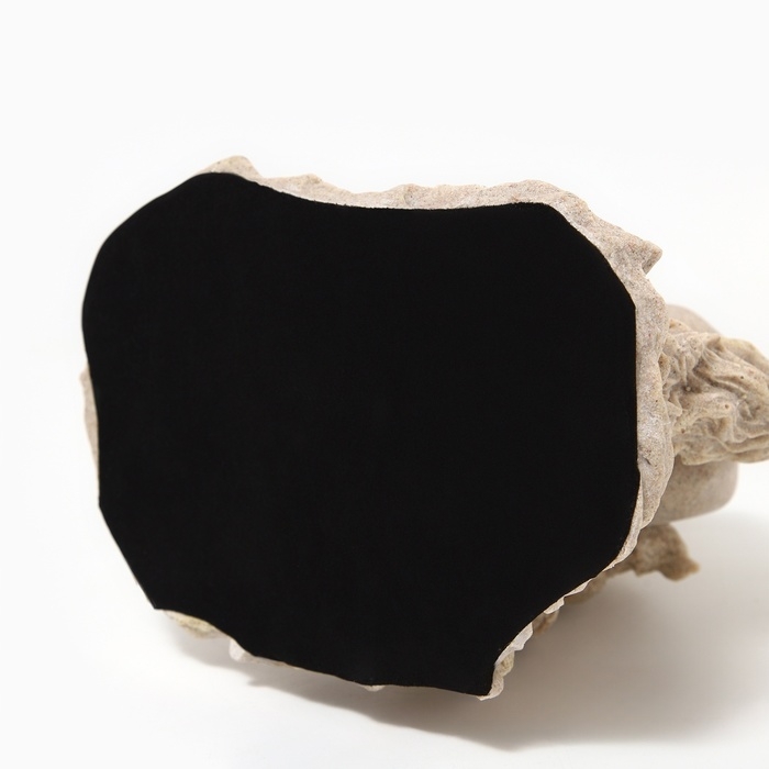 Статуэтка полистоун «Конь на дыбах» 26 х 14 х 33 см Статуэтка полистоун «Конь на дыбах» 26 х 14 х 33 см