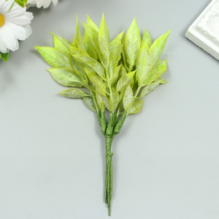 Искусственное растение для творчества "Рукус" 1 букет=6 веточек зелёный 13 см