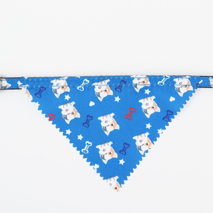Ошейник с косынкой Ошейник с косынкой "Яркая жизнь", 32 х 1 см, синий