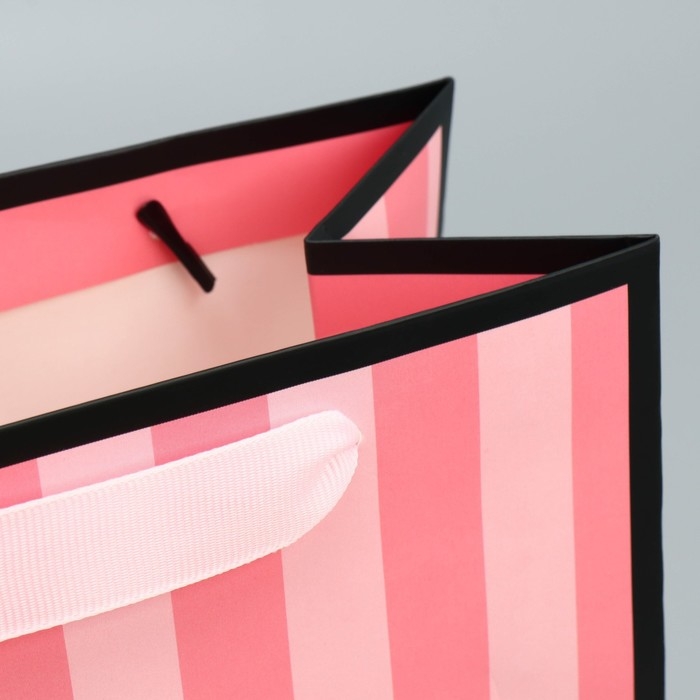 Пакет подарочный ламинированный квадратный, упаковка, «Лучшая», 22 х 22 х 11 см Пакет подарочный ламинированный квадратный, упаковка, «Лучшая», 22 х 22 х 11 см