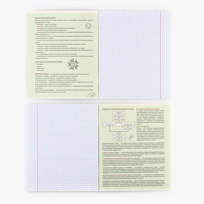 Предметная тетрадь А5, 48 л на скрепке «Яркий. Биология» ТВИН лак, уф лак, конгрев Предметная тетрадь А5, 48 л на скрепке «Яркий. Биология» ТВИН лак, уф лак, конгрев