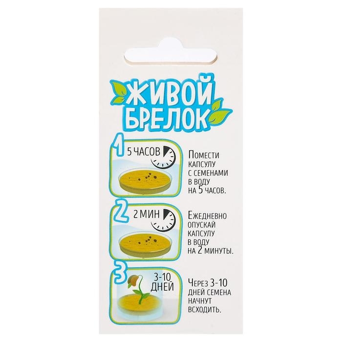 Набор для опытов «Живой брелок», мини-сад, вырасти сам