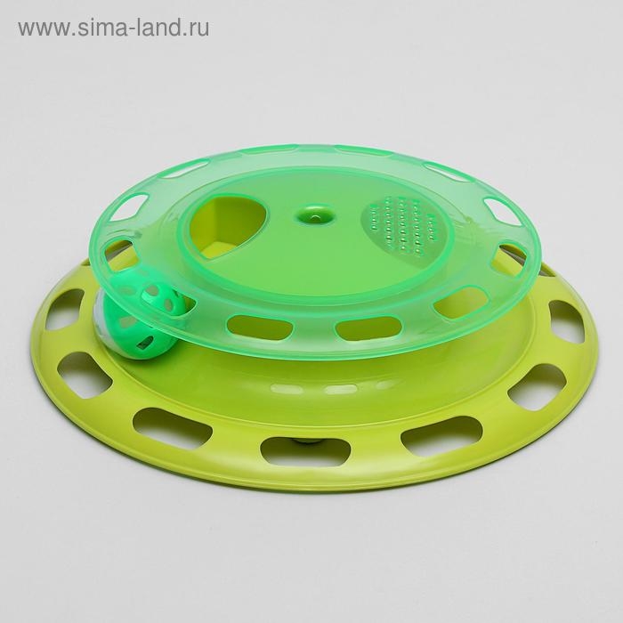 Игровой комплекс для кошек с отсеками для корма и шариком (картоная коробка), микс Игровой комплекс для кошек с отсеками для корма и шариком (картоная коробка), микс