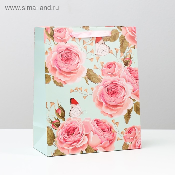 Пакет ламинированный, 26 x 32 x 12 см Пакет ламинированный, 26 x 32 x 12 см