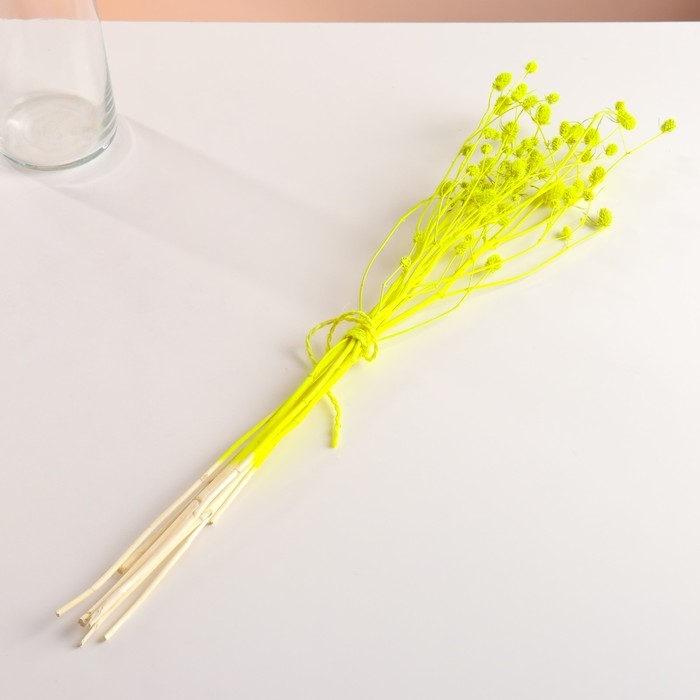 Набор сухоцветов Набор сухоцветов "Эрингиум", банч 5 шт, длина 55 (+/- 6 см), ярко-желтый