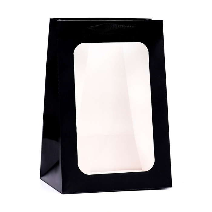Пакет подарочный, с окном, 30 х 20 х 16 см, черный Пакет подарочный, с окном, 30 х 20 х 16 см, черный