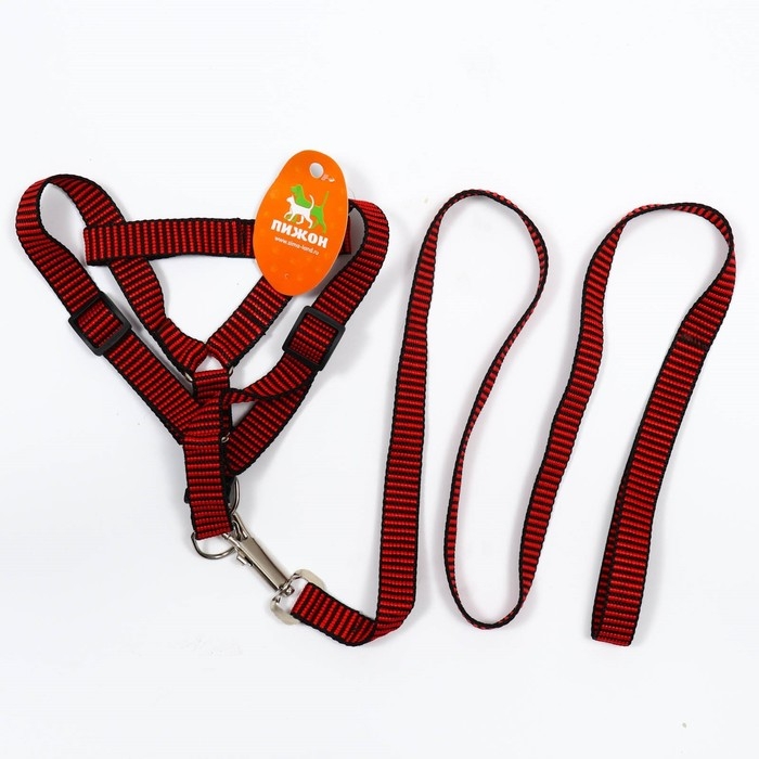 Комплект амуниции рельефный, поводок 120 х 2 см, ОГ 44-50 см, красно-чёрный Комплект амуниции рельефный, поводок 120 х 2 см, ОГ 44-50 см, красно-чёрный