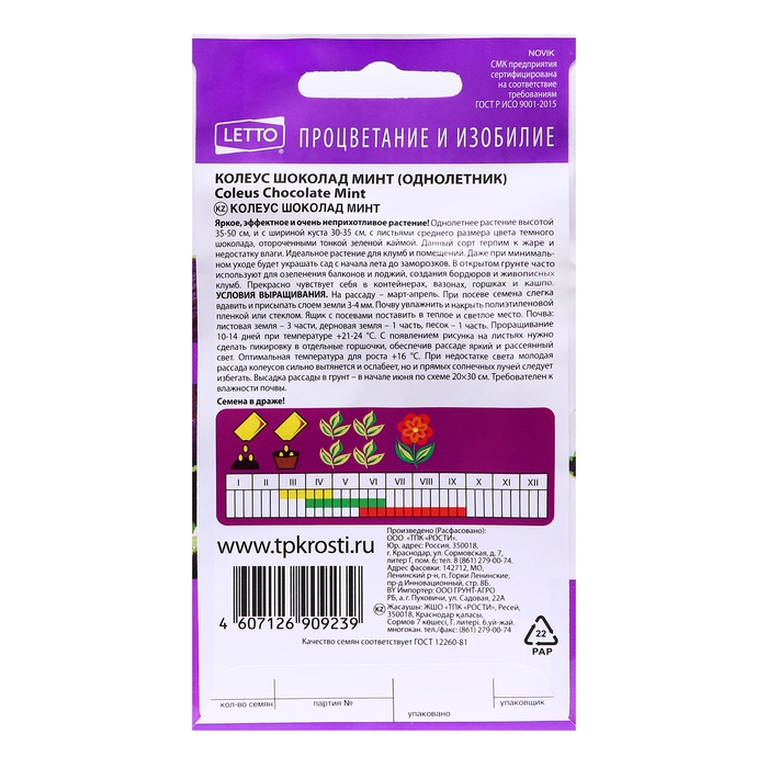 Семена цветов Колеус  Семена цветов Колеус "Шоколад Минт", 4 шт