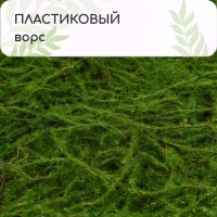 Декоративная панель, 90 × 40 см, «Папоротник», Greengo