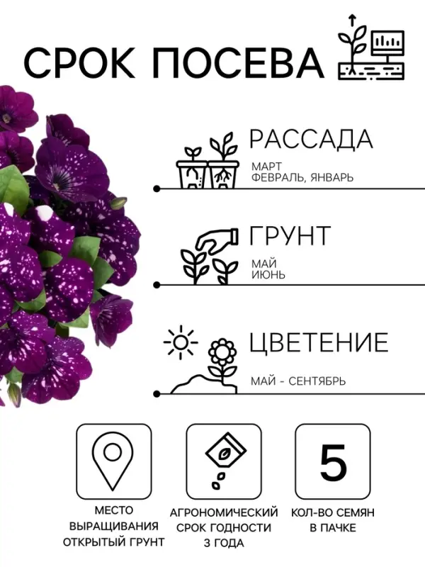 Семена цветов Петуния Дот Стар F1 &laquo;Андромеда&raquo;, многоцветковая, 5 шт.