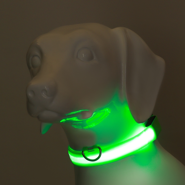 Ошейник с подсветкой размер L, ОШ 45-52 х 2,5 см, 3 режима свечения зелёный