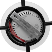 Люстра с ПДУ 2300/9GD LED 190Вт 3000-6000К золото 85х85х9 см BayerLux