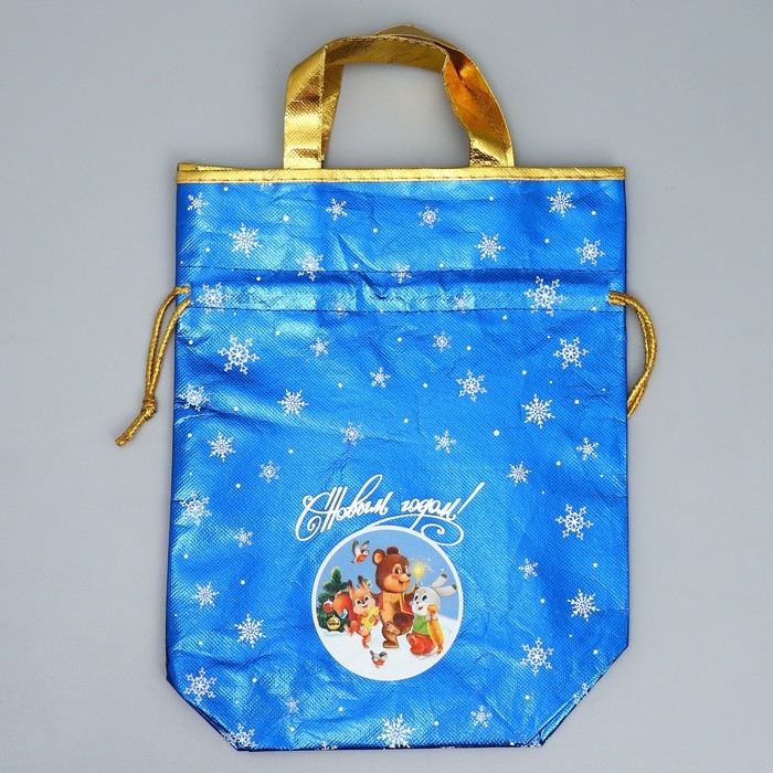 Пакет-мешок из нетканного материала «Новогодняя компания», 25 х 32 см, Новый год Пакет-мешок из нетканного материала «Новогодняя компания», 25 х 32 см, Новый год