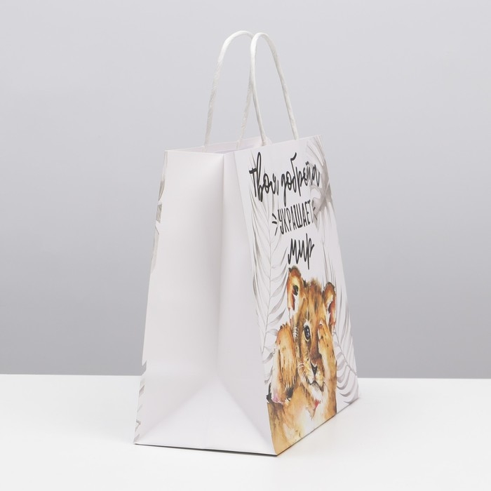 Пакет подарочный, упаковка, «Доброта», 22 х 22 х 11 см Пакет подарочный, упаковка, «Доброта», 22 х 22 х 11 см