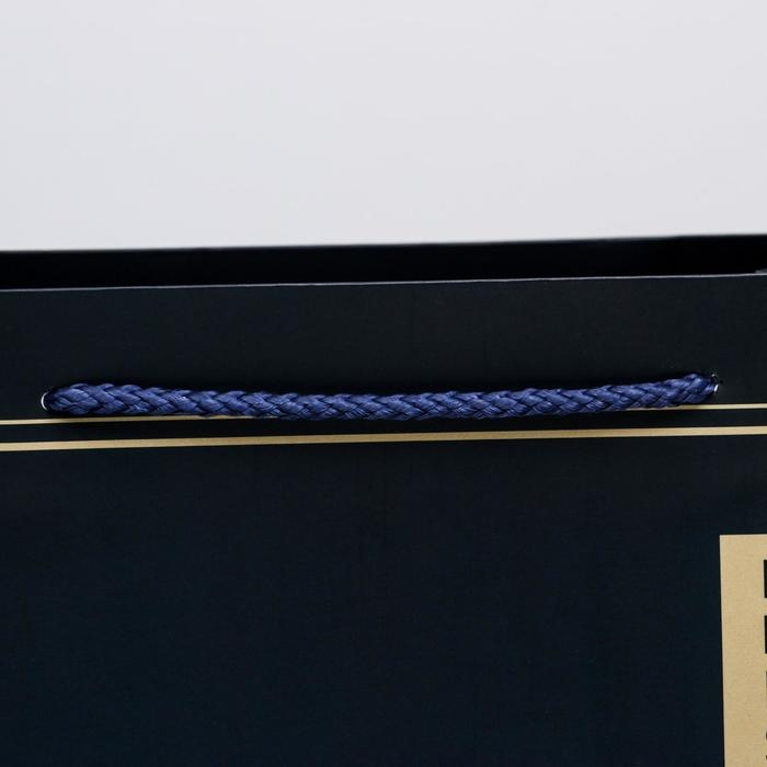 Пакет подарочный ламинированный вертикальный, упаковка, «Present», ML 23 х 27 х 11,5 см Пакет подарочный ламинированный вертикальный, упаковка, «Present», ML 23 х 27 х 11,5 см