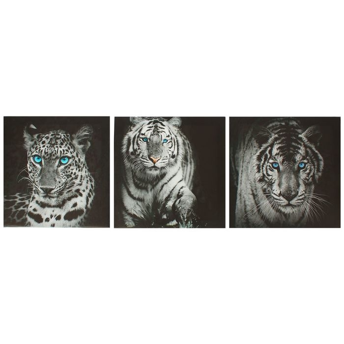 Картина модульная на подрамнике  Картина модульная на подрамнике "Кошки"  3шт.-28*28см;   28х84см