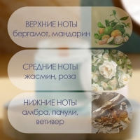 Свеча ароматическая "Hygge" #14 Абсент, соевый воск, в банке, 90 г