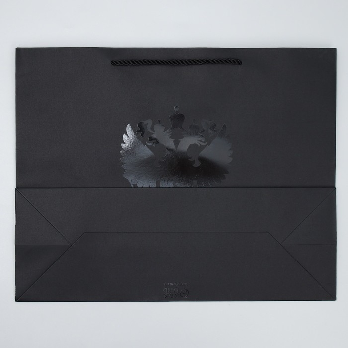 Пакет подарочный, упаковка, «Россия», L 38 х 29 х 13 см