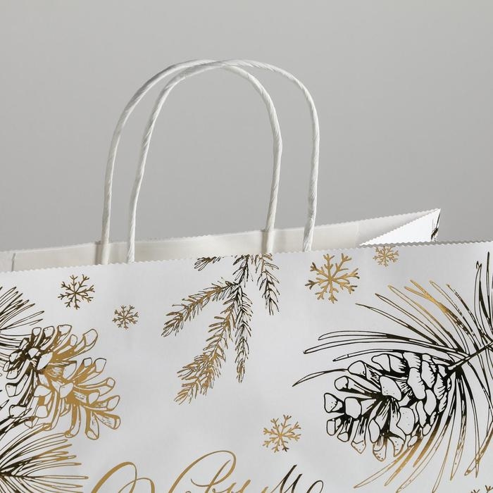 Пакет подарочный новогодний крафтовый Best winter, 32 х 28 х 15 см Пакет подарочный новогодний крафтовый Best winter, 32 х 28 х 15 см